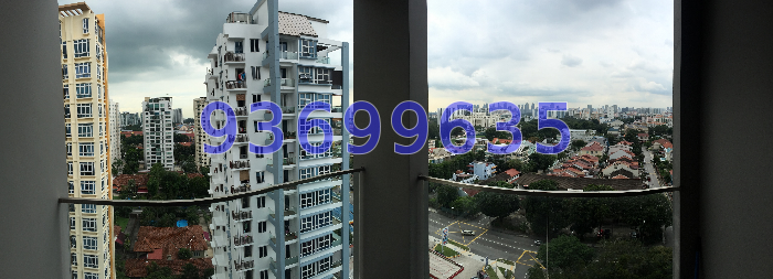 Bella Casita (D15), Apartment #38320462